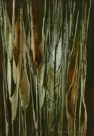 Vera Braun 34x24cm