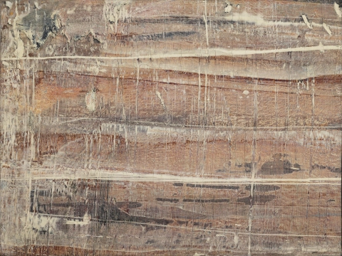 Guano, 1958-1964