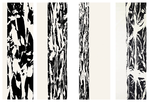 Anamorphoses, 1981-96