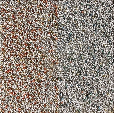 A Forest of Writing, 2010