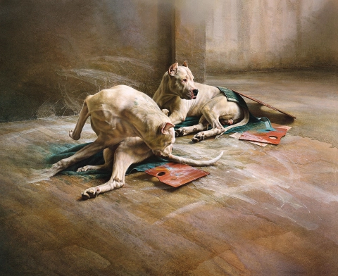 Motus, Motus-Homage to Culture, 2001