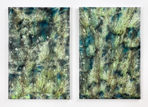 Untitled 53-54, 2021