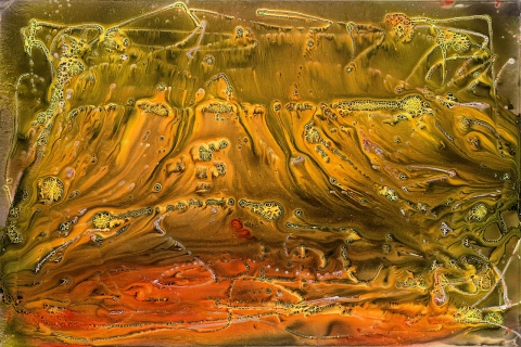 Untitled 19, 2020