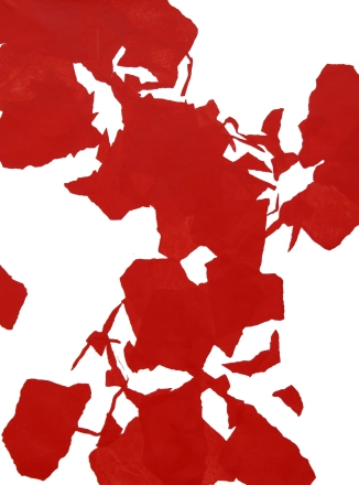 Hortus Meus 19, 2023