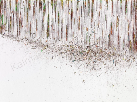 N. 273, 2013 