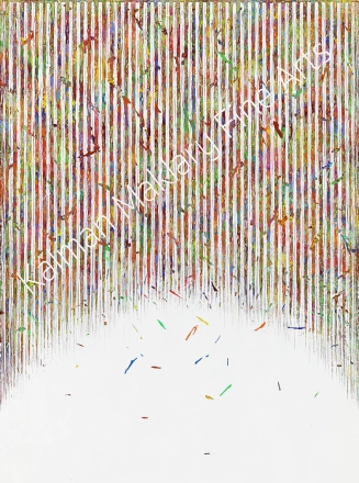 N. 217, 2013