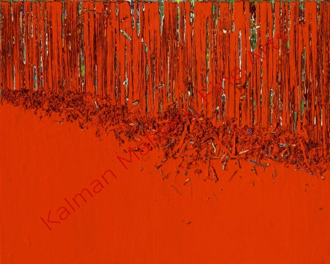 N. 231, 2013 