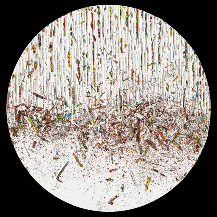 N. 250, 2013 