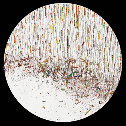 N. 251, 2013