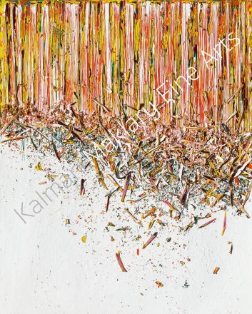 N. 254, 2013 
