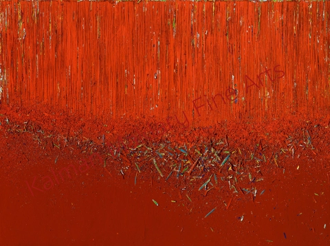  N. 255, 2013 