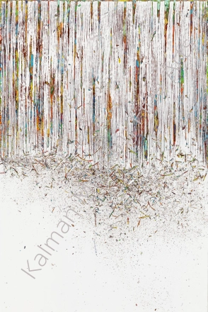  N. 262, 2013 