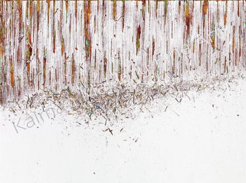 N. 272, 2013