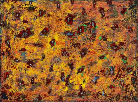 N. 11, 2009 