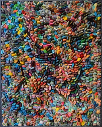 Seed 14, 2016