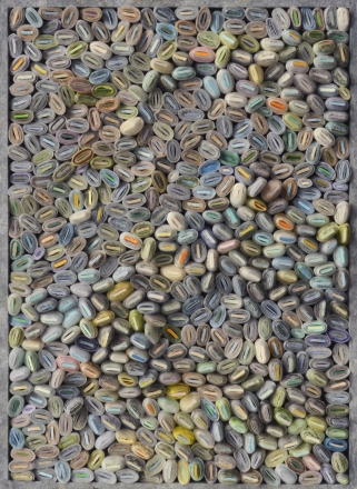 Seed Reel 60, 2016