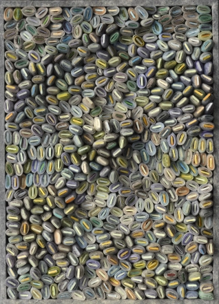 Seed Reel 59, 2016