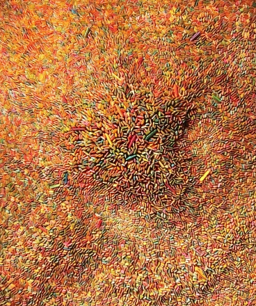 Seed Universe 11, 2015 