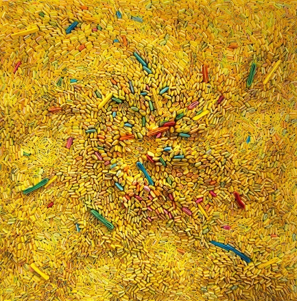 Seed Universe 15, 2015