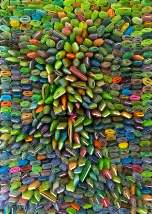 Seed Reel 25, 2015