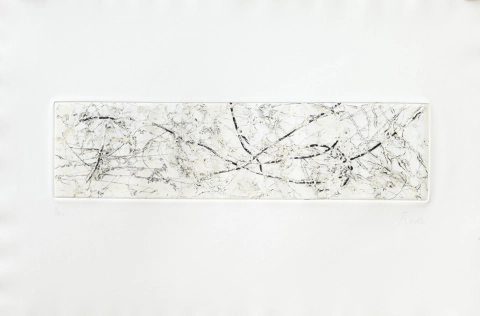 Fiedler Maya 1, 1974 eau-forte originale 62,5 x 89.5 cm