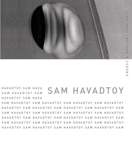 Sam Havadtoy exhibition at the Kalman Maklary Fine Arts - 2009