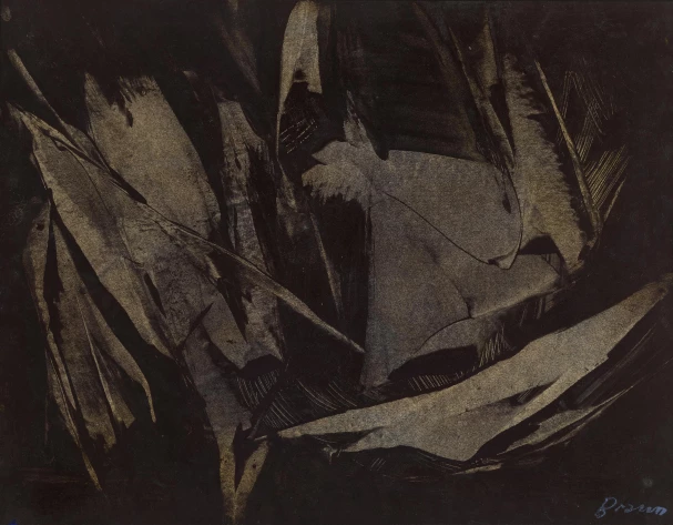 Vera Braun 50x64 cm 1