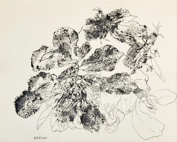 Untitled, c. 1965