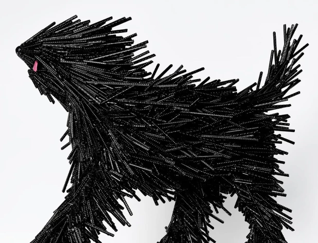 Puli, 2020