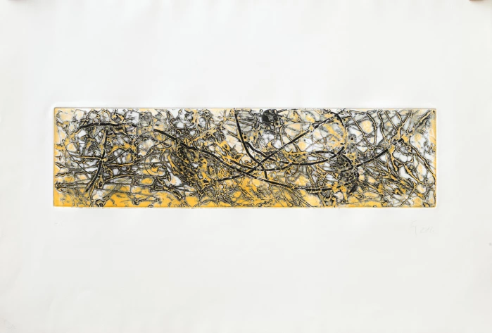 Fiedler Maya 3, 1974 eau-forte originale 62,5 x 89.5 cm