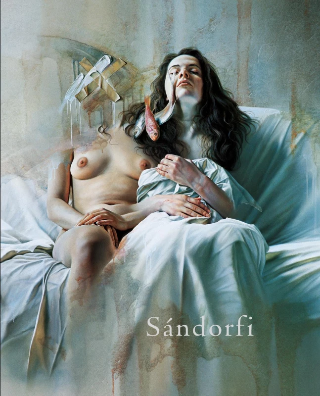 Sandorfi book