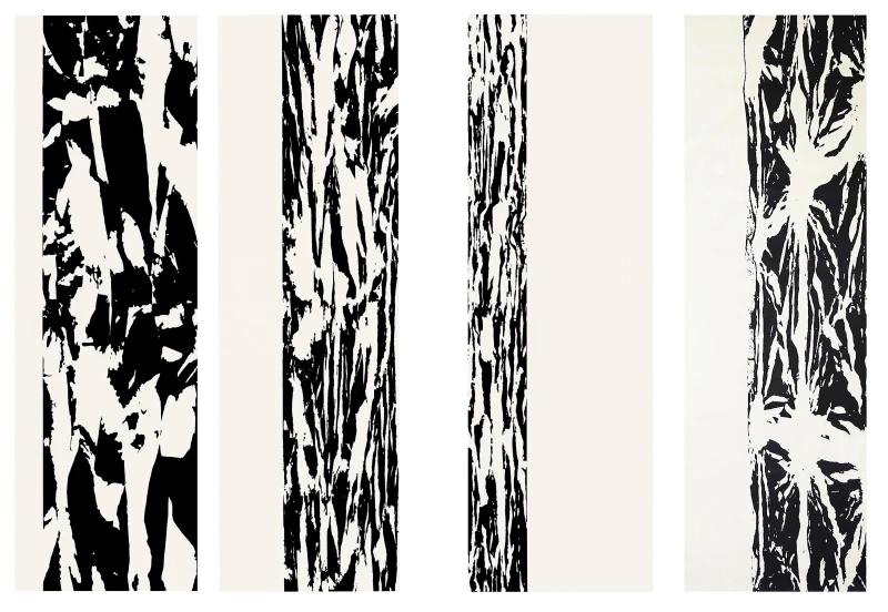 Anamorphoses, 1981-96