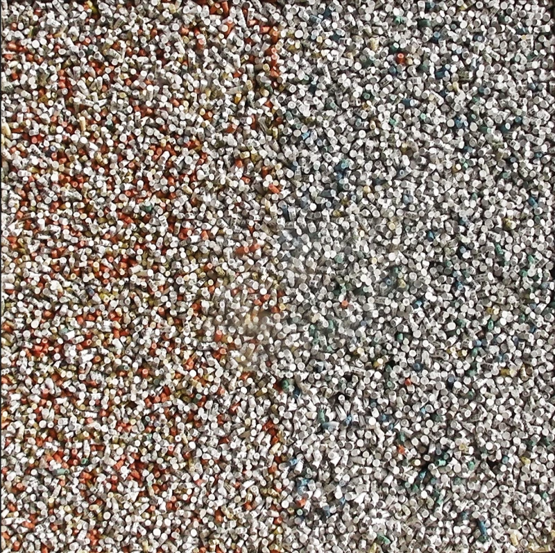 A Forest of Writing, 2010