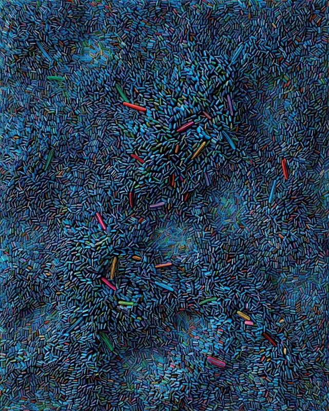 Seed Universe 18, 2015