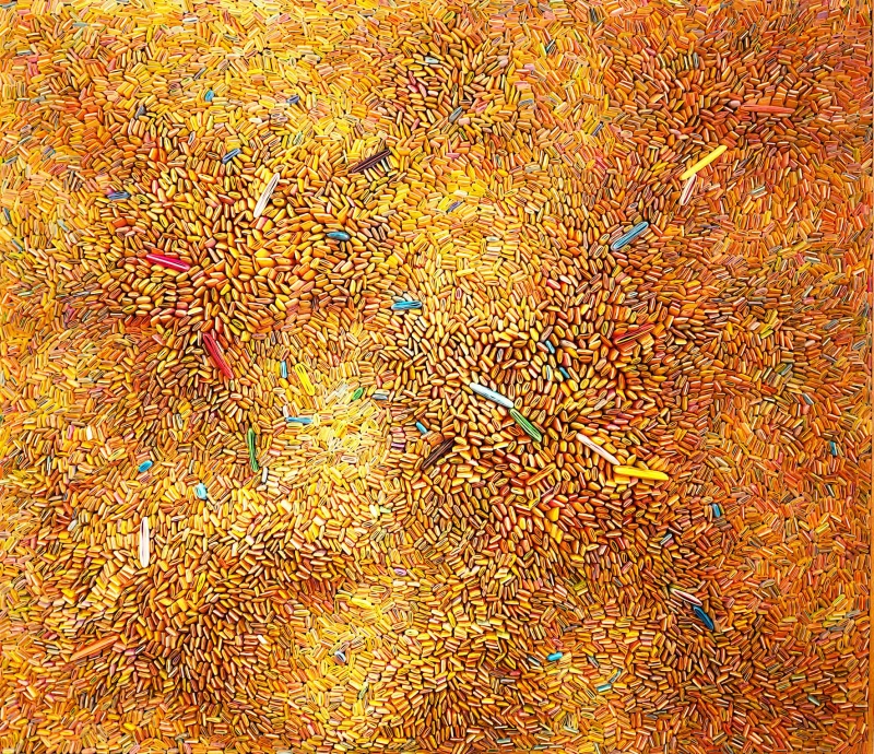 Seed Universe 19, 2015
