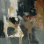 Kallos 116x81cm 1