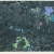 Peterdi 1965_54x82cm