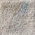 Lines of travel 56, 2020