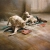 Motus, Motus-Homage to Culture, 2001