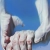 Pieta, 1976