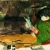 Girl with a Book