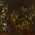 Still Life with Fruits, 1984
