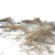 150 Years of Nature - Apocalyptic Cocitation Network - Landscape No.13