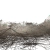 150 Years of Nature - Apocalyptic Cocitation Network - Landscape No.13