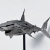Shark, 2019