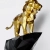 Lion, 2020