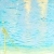 Swimmers and Reflections,  2015