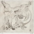Peterdi Black bull 5_24x25cm