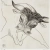 Peterdi Black bull 6_22x21cm