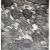 Anton Prinner Turtles 1948 Le livre des Morts des Anciens Egyptiens etching 43x30,5 cm